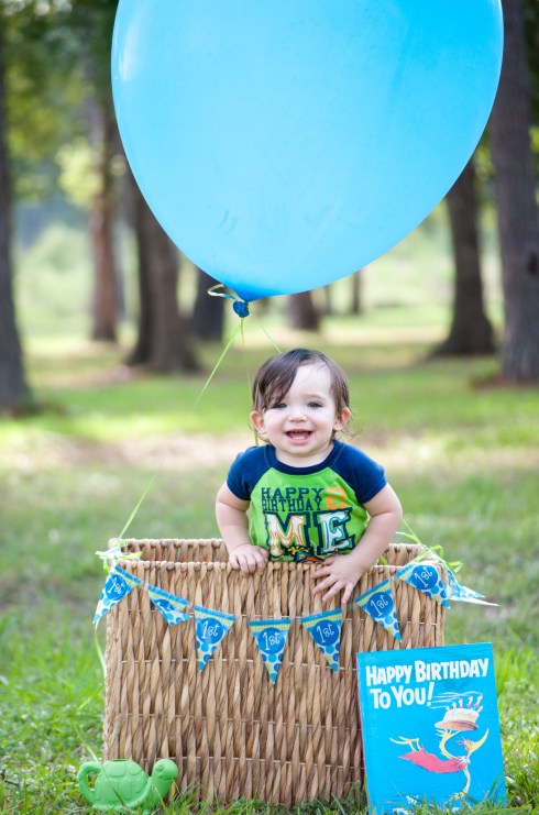 Mason's First Birthday